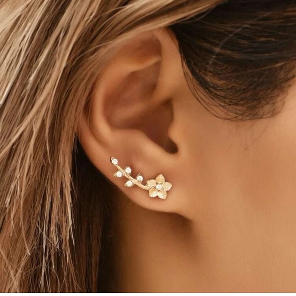 Brand new earrings